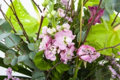 Boeket Anthurium Groot -Plantenboeket Winkel boeket anthurium boeketten 3 1