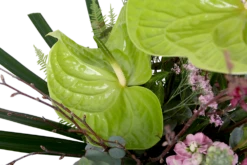 Boeket Anthurium Groot -Plantenboeket Winkel boeket anthurium boeketten 4 1