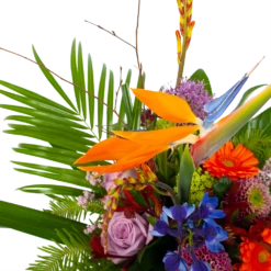 Boeket Deluxe Special Voor Jou Middel -Plantenboeket Winkel boeket deluxe special voor jou boeketten 3 2