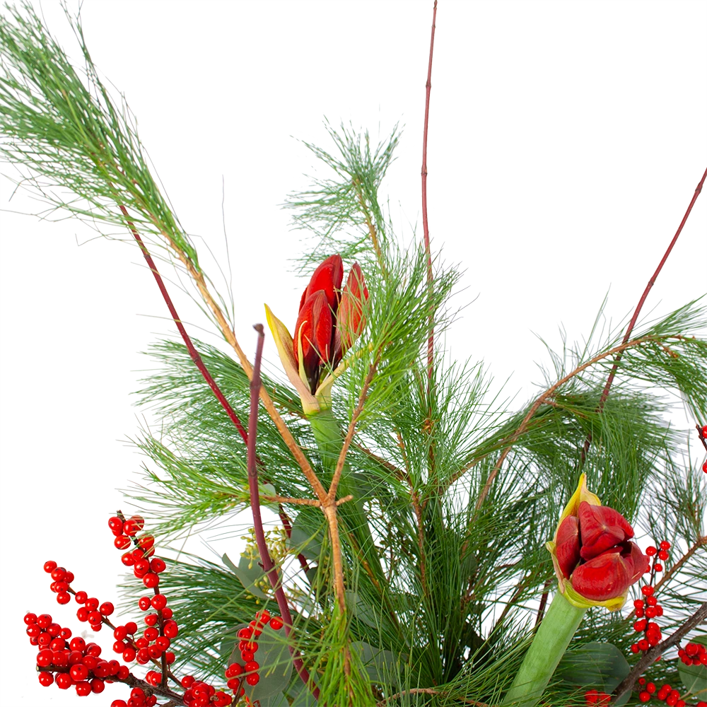 Boeket Deluxe Winter Groot 5 Boeket Deluxe Winter Groot - Afbeelding 3