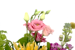 Boeket Eline Middel -Plantenboeket Winkel boeket eline boeketten 4 1