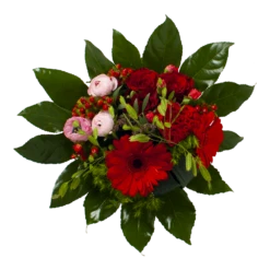 Plantenboeket Winkel -Plantenboeket Winkel boeket fijne moederdag 2