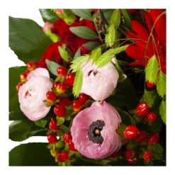 Boeket Fijne Moederdag Groot 10 Boeket Fijne Moederdag Groot -Plantenboeket Winkel boeket fijne moederdag 3 2