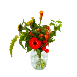 Boeket Herfst Uit Het Veld Middel