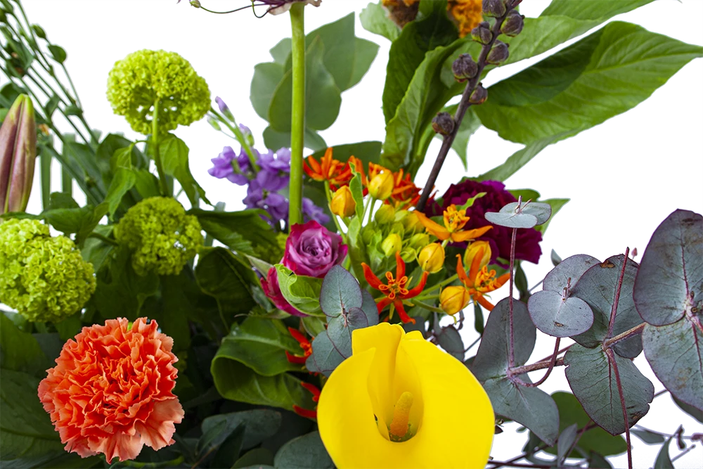 Boeket Judith Groot 5 Boeket Judith Groot - Afbeelding 3