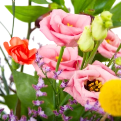 Boeket Kleurrijk Geplukt Groot -Plantenboeket Winkel boeket kleurrijk geplukt boeketten 3