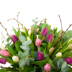Boeket Kleurrijke Tulp Groot 8 Boeket Kleurrijke Tulp Groot -Plantenboeket Winkel boeket kleurrijke tulp boeketten 2