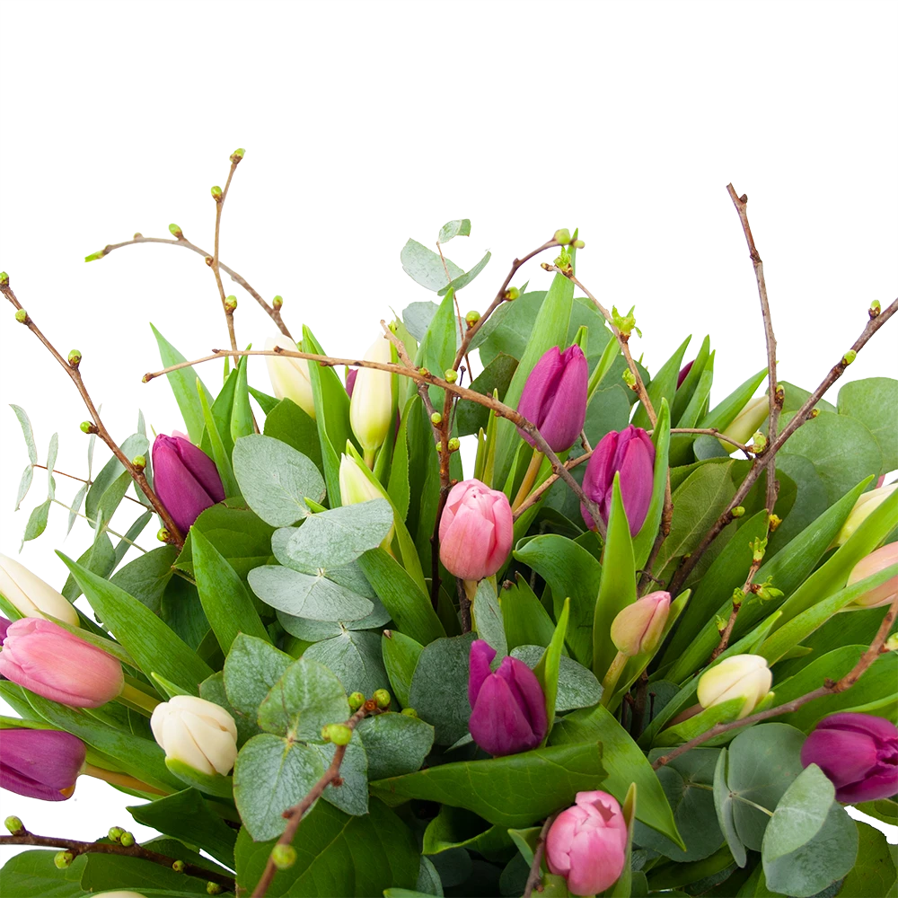 Boeket Kleurrijke Tulp Groot 4 Boeket Kleurrijke Tulp Groot - Afbeelding 2