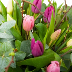 Boeket Kleurrijke Tulp Klein 9 Boeket Kleurrijke Tulp Klein -Plantenboeket Winkel boeket kleurrijke tulp boeketten 3 1