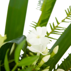 Boeket Liefdevolle Winter Groot -Plantenboeket Winkel boeket liefdevolle winter boeketten 3