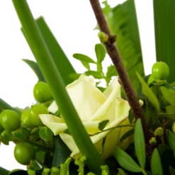 Boeket Liefdevolle Winter Groot -Plantenboeket Winkel boeket liefdevolle winter boeketten 4