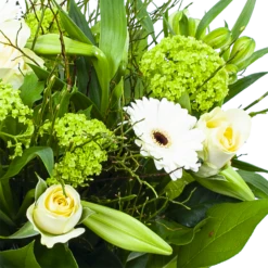 Boeket Miriam Groot -Plantenboeket Winkel boeket miriam boeketten 3 1