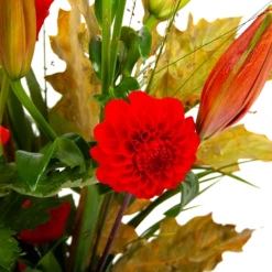 Boeket Pluim Van Het Najaar Middel -Plantenboeket Winkel boeket pluim van het najaar middel boeketten 3