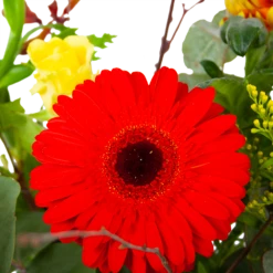 Boeket Speciale Verrassing Middel -Plantenboeket Winkel boeket speciale verrassing boeketten 3