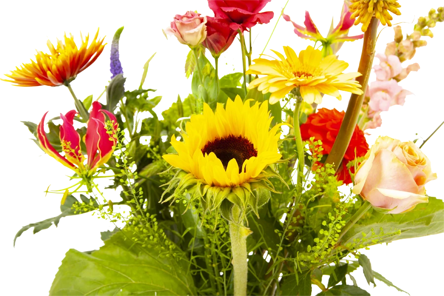 Boeket Vlinder Middel 5 Boeket Vlinder Middel - Afbeelding 3