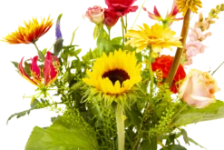 Boeket Vlinder Groot -Plantenboeket Winkel boeket vlinder boeketten 3 3 2