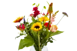 Boeket Vlinder Groot -Plantenboeket Winkel boeket vlinder boeketten 4 3 2