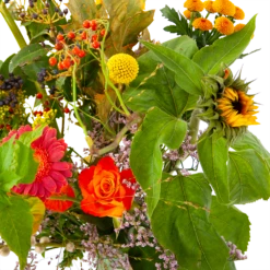Boeket Vrolijk Groot -Plantenboeket Winkel boeket vrolijk groot boeketten 4