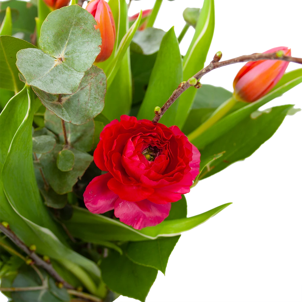 Boeket Vrolijk Roze Groot 4 Boeket Vrolijk Roze Groot - Afbeelding 2