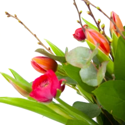 Boeket Vrolijk Roze Groot 9 Boeket Vrolijk Roze Groot -Plantenboeket Winkel boeket vrolijk roze boeketten 3