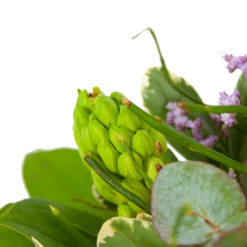 Boeket Vrolijk Seizoen Groot -Plantenboeket Winkel boeket vrolijk seizoen boeketten 3 2