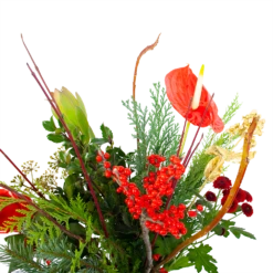 Boeket Winterpret Klein -Plantenboeket Winkel boeket winterpret boeketten 3 1 2