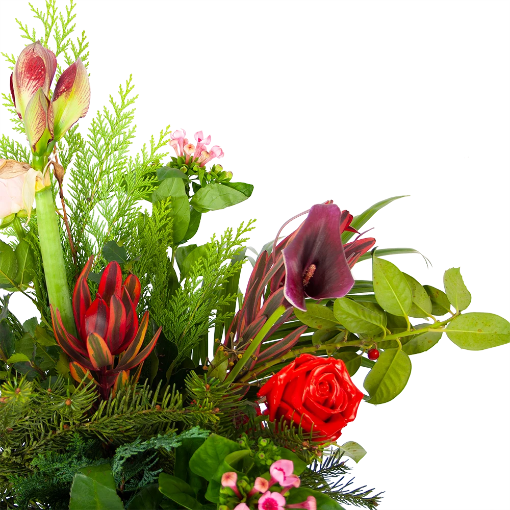 Boeket Winters Groot 4 Boeket Winters Groot - Afbeelding 2