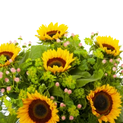 Boeket Zonnestraal Middel 10 Boeket Zonnestraal Middel -Plantenboeket Winkel boeket zonnestraal boeketten 3 3 2