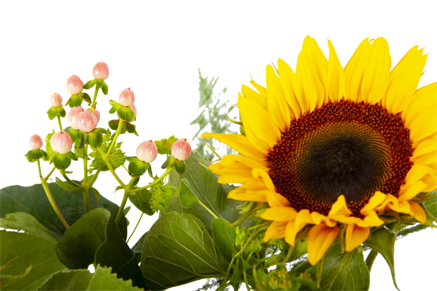 Boeket Zonnestraal Middel 6 Boeket Zonnestraal Middel - Afbeelding 4