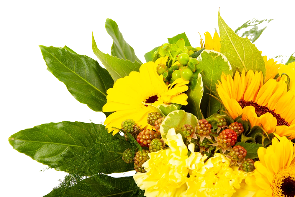 Boeket Zonnetje Groot 6 Boeket Zonnetje Groot - Afbeelding 4