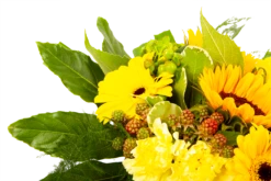 Boeket Zonnetje Middel -Plantenboeket Winkel boeket zonnetje boeketten 4 1