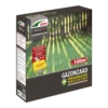 DCM Graszaad Ombrau00ae Plus - 1,5kg - Graszaad -Plantenboeket Winkel dcm graszaad ombra plus 1 5kg graszaad 1 14