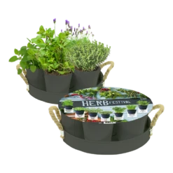 Herb Festival - 7 Potjes Kruiden - Grijs - Kruidenzaden - Baltus Zaden