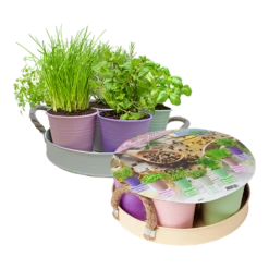 Herb Festival - 7 Potjes Kruiden - Pastel - Kruidenzaden - Baltus Zaden