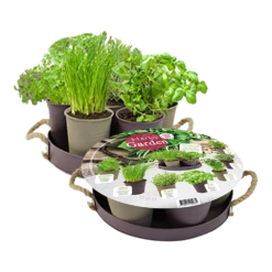 Herb Festival - 7 Potjes Kruiden - Taupe - Kruidenzaden - Baltus Zaden