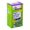 Luxan Greenfix Zero 500ml Glyfosaatvrij Concentraat - Onkruid En Aanslag -Plantenboeket Winkel luxan greenfix zero 500ml glyfosaatvrij concentraat onkruid en aanslag 1