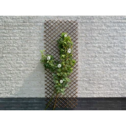 Nature - Wilgenklimrek 90x180cm -Plantenboeket Winkel nature wilgenklimrek 90x180cm 3 2