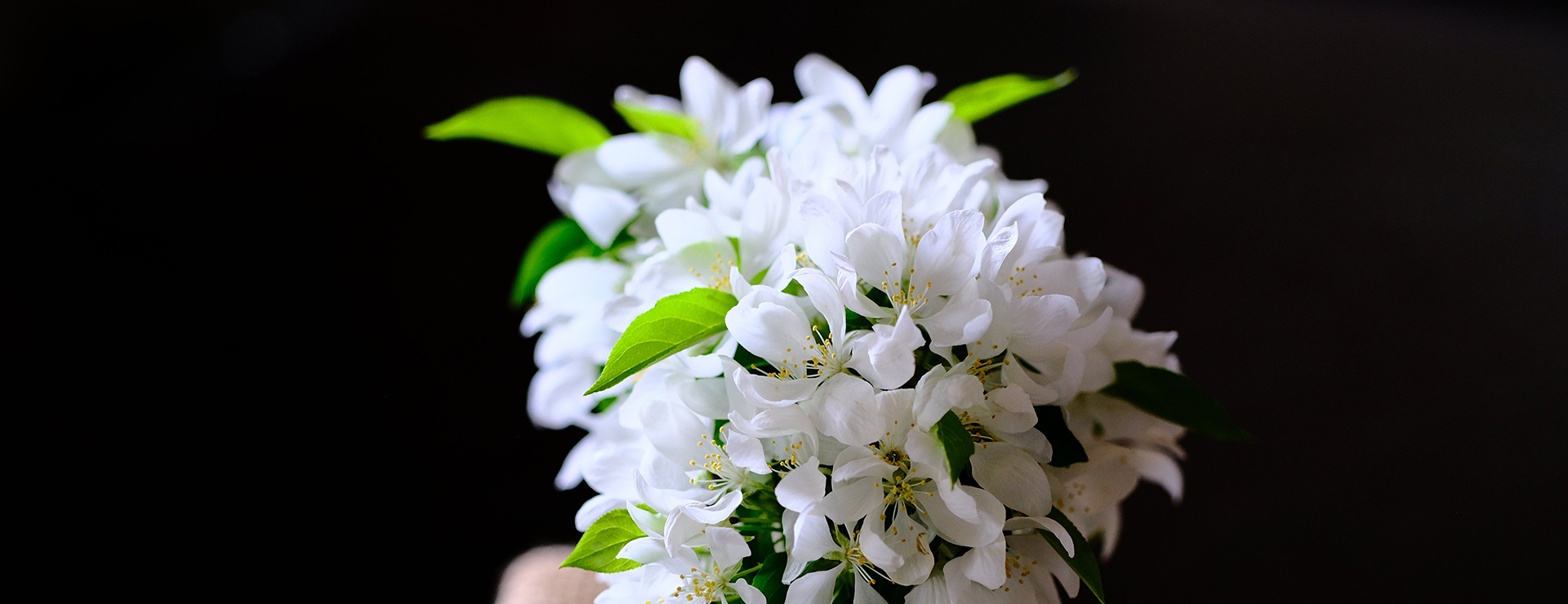 Plantenboeket Winkel -Plantenboeket Winkel photo 1590159418388 90633ce5a46c