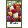 Tulipa Triumph Mix - 80st - Bloembollen - JUB Holland -Plantenboeket Winkel tulipa triumph mix 80st bloembollen jub holland 1 1