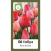 Tulipa Triumph Roze & Rood - 100st - Bloembollen - JUB Holland -Plantenboeket Winkel tulipa triumph roze rood 100st bloembollen jub holland 1 1