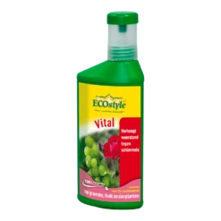 EcoStyle Vital Concentraat 250ml - Schimmels